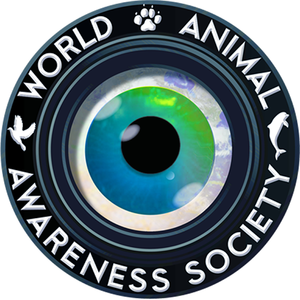 World Animal Awareness Society